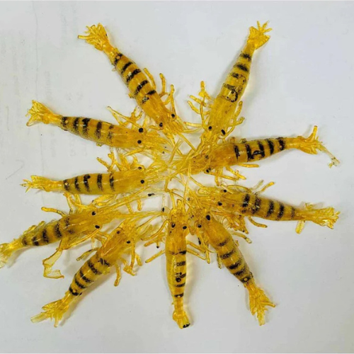 20 x Live Soft Brown Prawn Shrimp Yabbie Lure 65mm Fishing Tackle /Light Brown